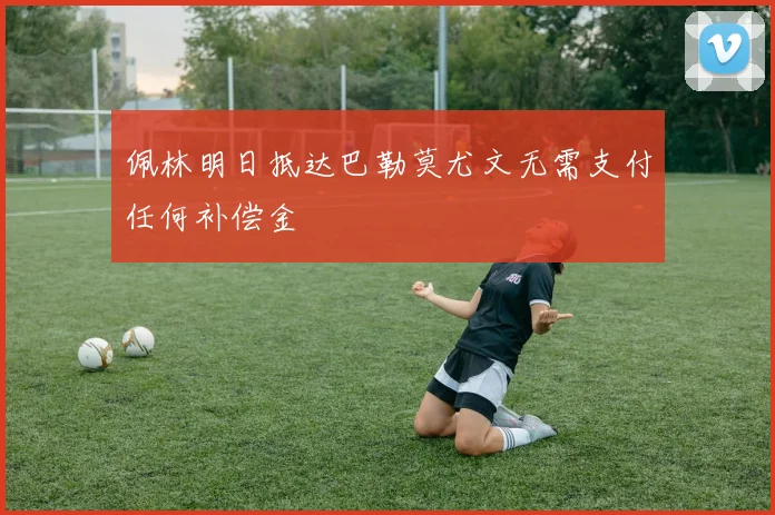 佩林明日抵达巴勒莫尤文无需支付任何补偿金