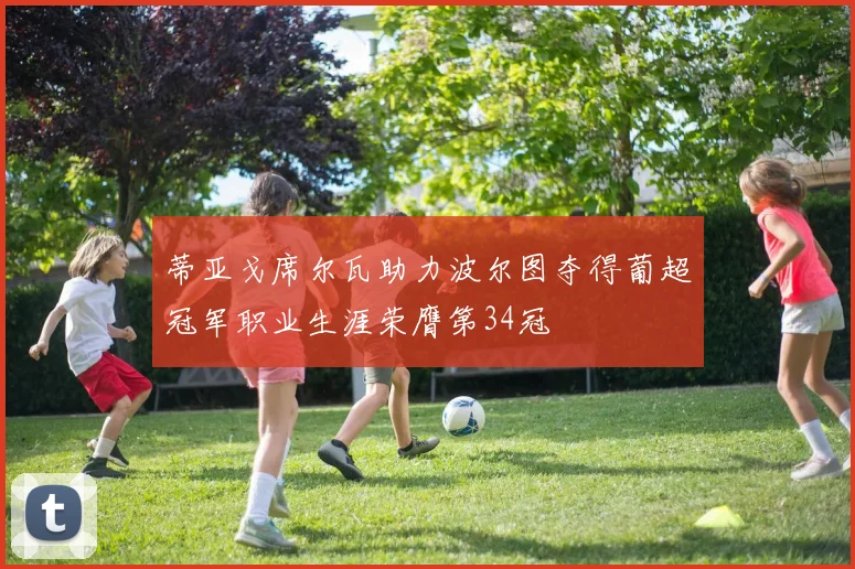 蒂亚戈席尔瓦助力波尔图夺得葡超冠军职业生涯荣膺第34冠